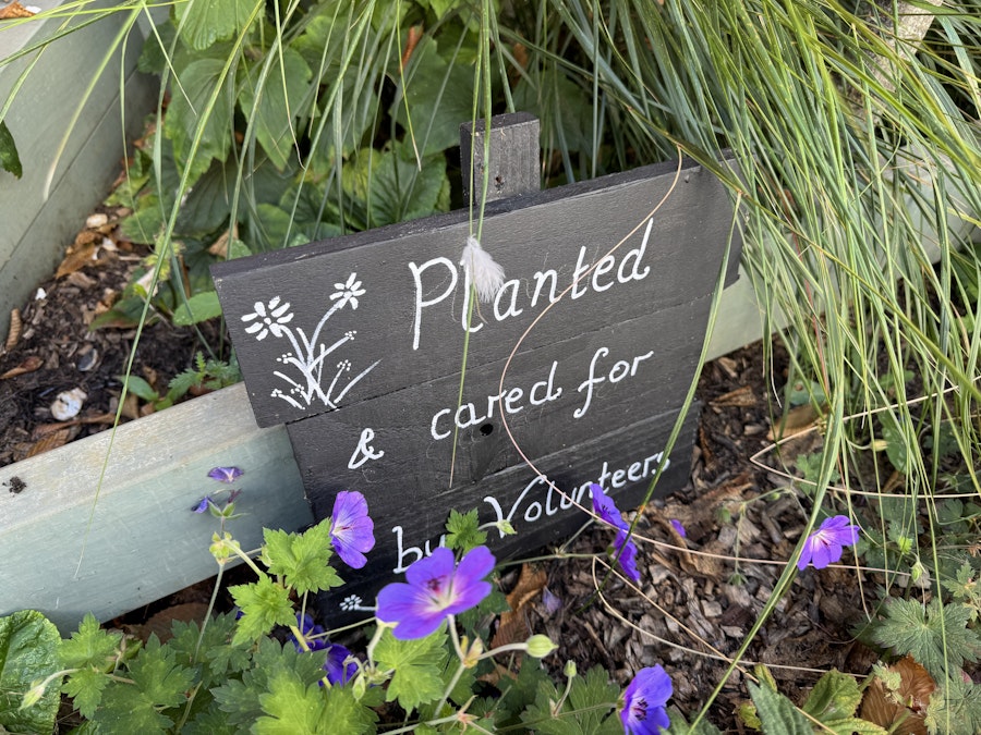 The planters are planted and cared for by volunteers